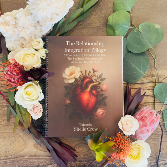 The Relationship Integration Guide: A Companion Guide to Still the Pain, The Soulmate Frequency, and Communicating with Men (Spiral-bound)